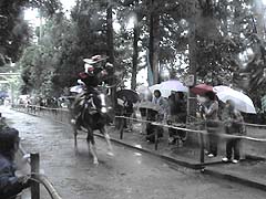 ��񂳂�܍Ղ�